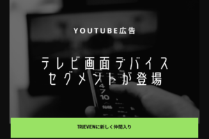 YouTube広告(TrueView動画広告)に新しく「テレビ画面」デバイスセグメントが登場