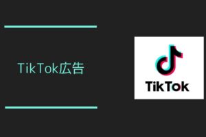 話題のTikTok広告とは？3つの種類と3つの事例を紹介