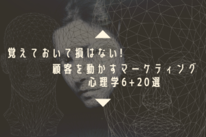 覚えておいて損はない!顧客を動かすマーケティング心理学6+20選