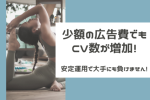 少額の広告費でもCV数が増加