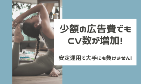 少額の広告費でもCV数が増加